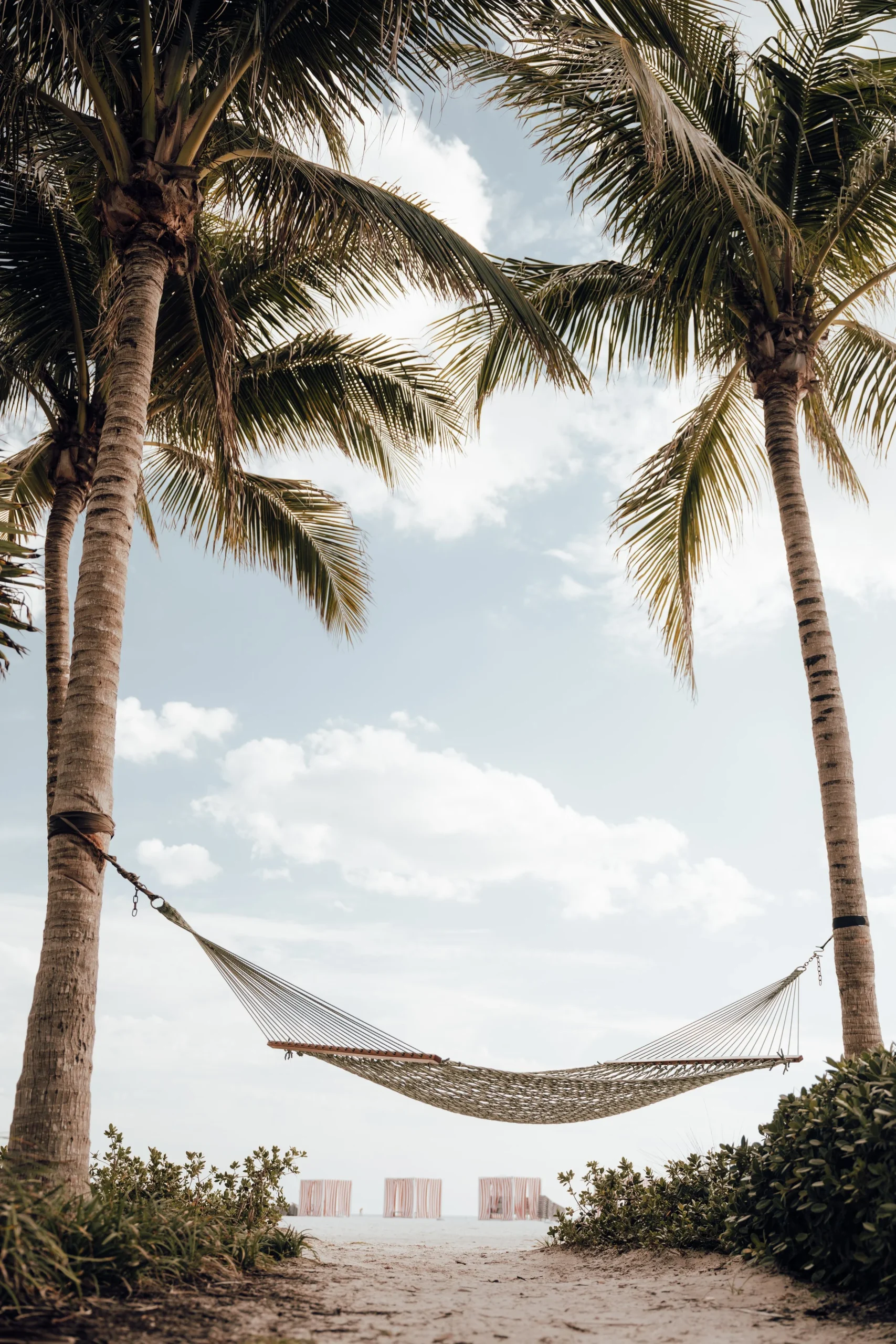Hammock between palm trees on the beach